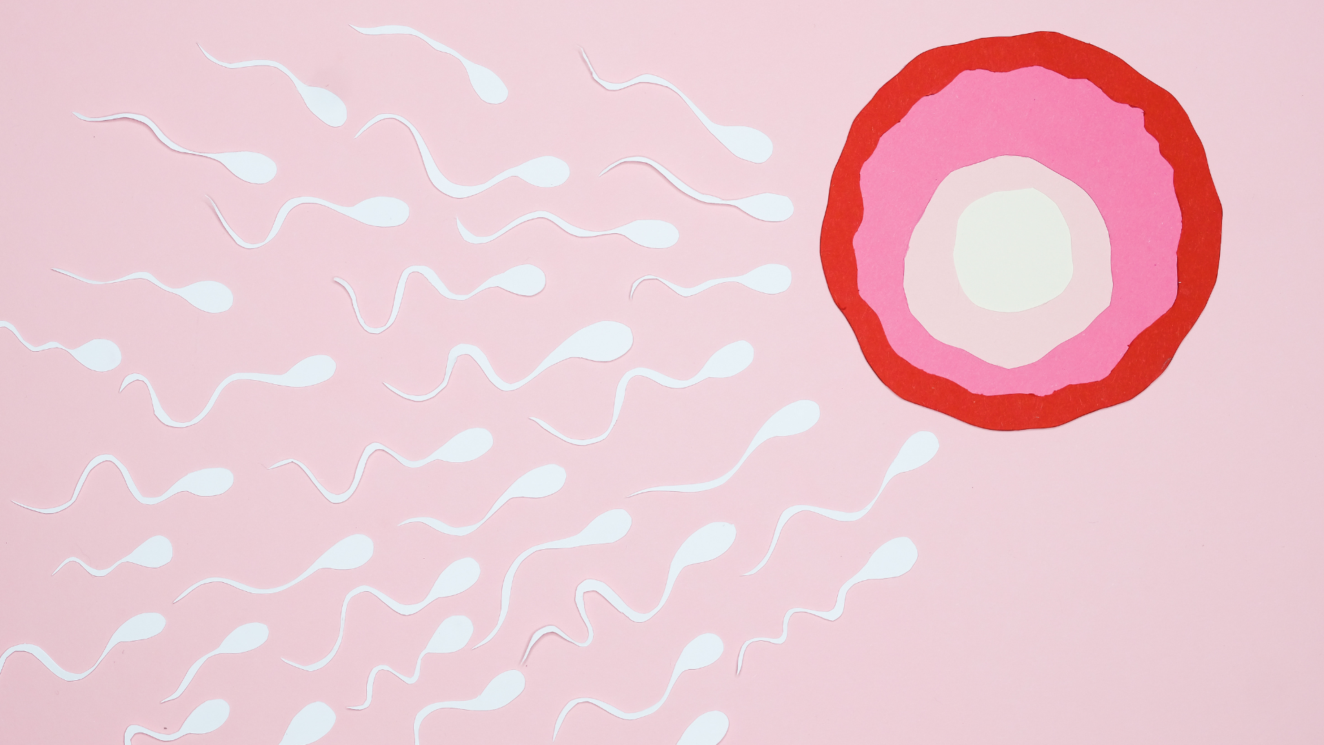 Ovulation Signs Every Woman Should Know (Beyond the Calendar)